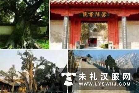 又见山寺桃花开 栖霞山上演汉服礼仪文化秀