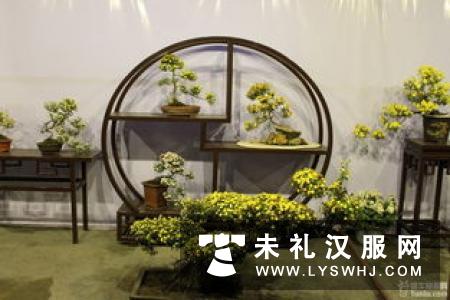 羊城菊展文化公园开幕 除了赏花还有汉服表演 羊城菊展文化公园开幕 除了赏花还有汉服表演